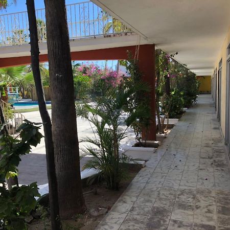 Hotel Calafia La Paz Exteriör bild