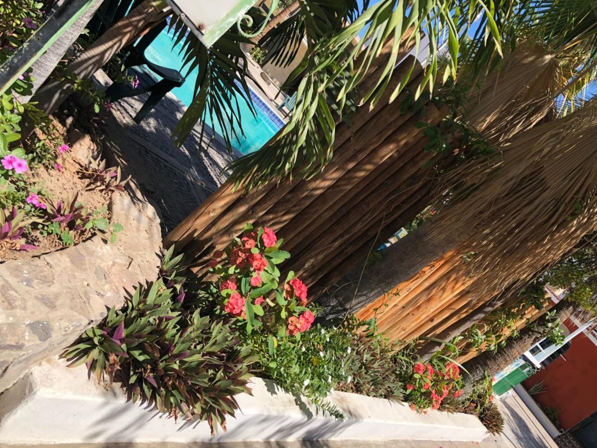 Hotel Calafia La Paz Exteriör bild